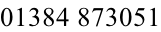 01384 873051